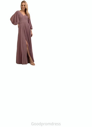 Alexus A-Line V-Neck Pleated Chiffon Floor-Length Dress HDOP0022642