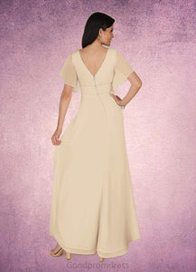 Cristal A-Line V-Neck Pleated Chiffon Floor-Length Dress HDOP0022646