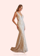 Load image into Gallery viewer, Susanna Mermaid V-Neck Lace Tulle Chapel Train Dress Diamond White/Nude HDOP0022780
