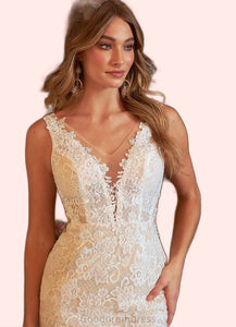 Susanna Mermaid V-Neck Lace Tulle Chapel Train Dress Diamond White/Nude HDOP0022780