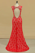 Load image into Gallery viewer, Plus Size Open Back V Neck Mermaid Lace Prom Dresses With Beads &amp; Slit Sweep Train