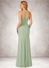 Load image into Gallery viewer, Paige Mermaid Ruched Chiffon Floor-Length Dress P0019779