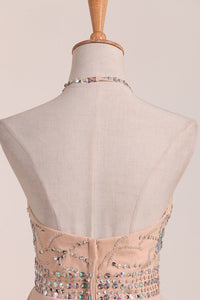 Chiffon&Tulle Halter A Line Homecoming Dress Beaded Bodice Short/Mini
