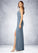 Alicia A-Line Pleated Mesh Floor-Length Dress P0019751