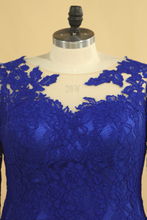 Load image into Gallery viewer, Plus Size Mother Of The Bride Dresses Scoop 3/4 Length Sleeve Lace With Applique Dark Royal Blue