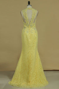 Open Back Prom Dresses V Neck With Applique And Beads Lace