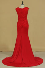 Load image into Gallery viewer, Mother Of The Bride Dresses V Neck With Applique Spandex Sweep Train Mermaid