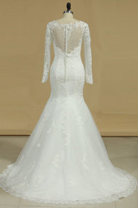 Long Sleeves V Neck Mermaid Wedding Dresses Tulle With Applique Court Train