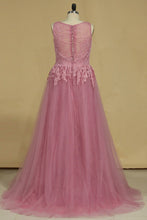 Load image into Gallery viewer, Sheath Evening Dresses Scoop With Applique Lace &amp; Tulle